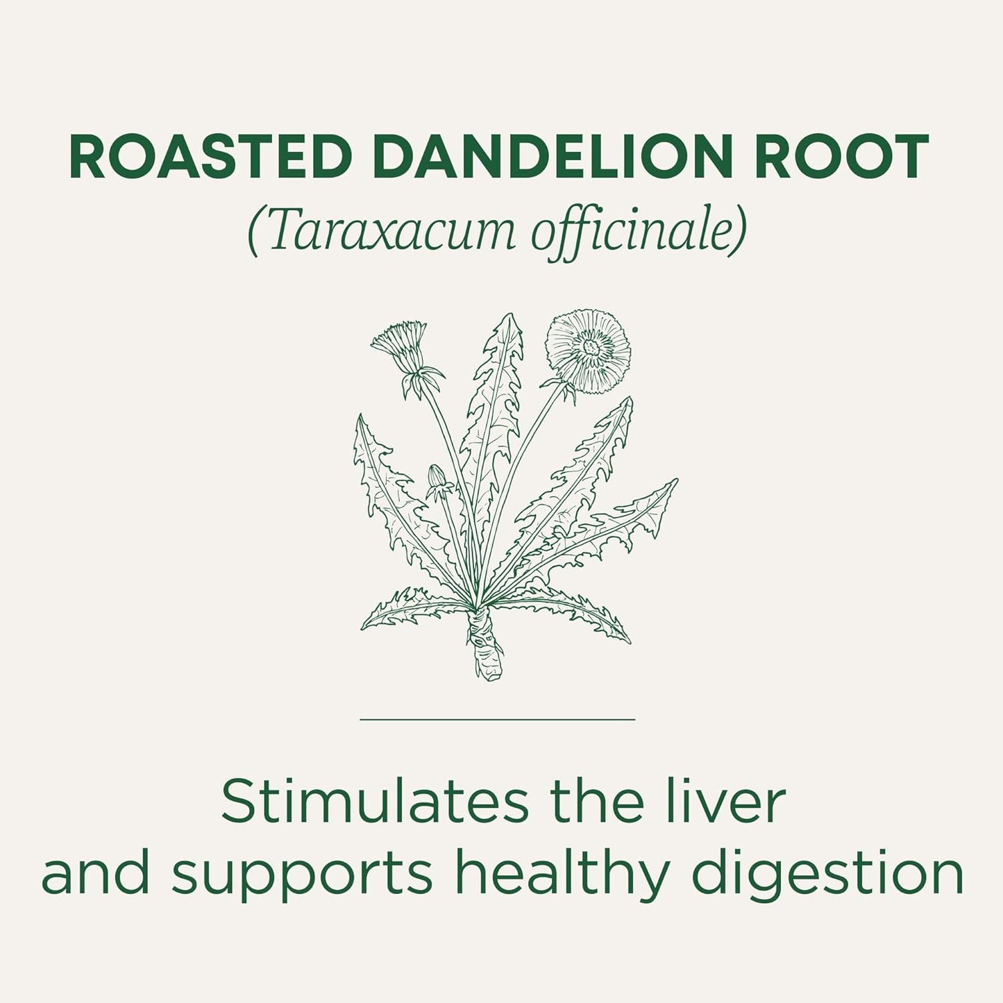 Organic Roasted Dandelion Root Herbal Tea