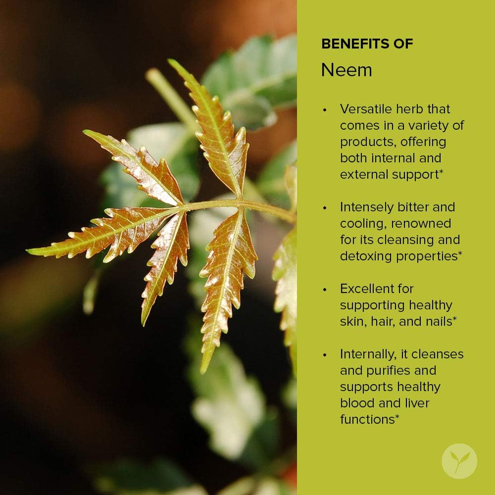 Organic Neem Powder