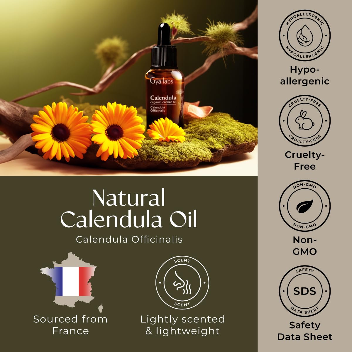 Organic Calendula Oil